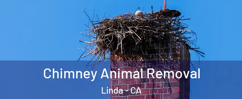  Chimney Animal Removal Linda - CA