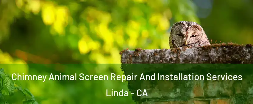  Chimney Animal Screen Repair And Installation Services Linda - CA