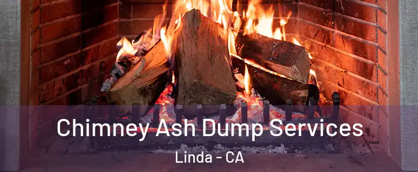  Chimney Ash Dump Services Linda - CA