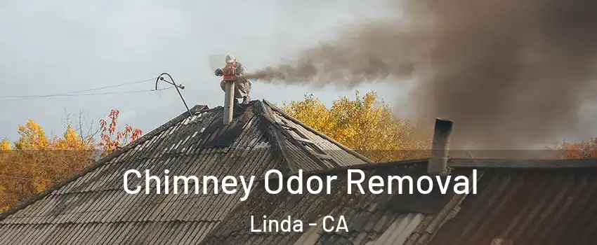  Chimney Odor Removal Linda - CA