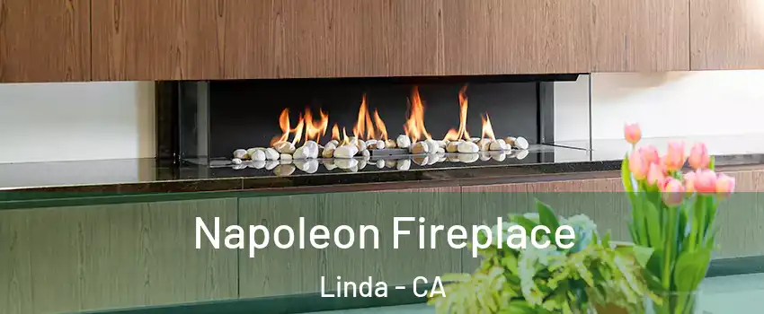  Napoleon Fireplace Linda - CA